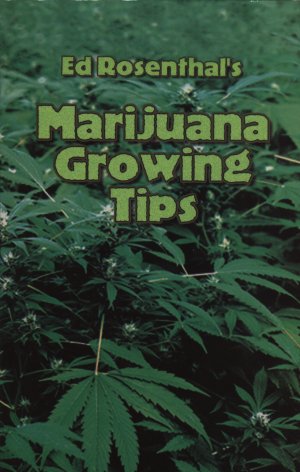 Ed Rosenthal's Marijuana Growing Tips