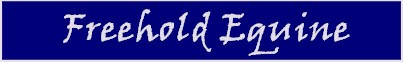 Freehold Equine