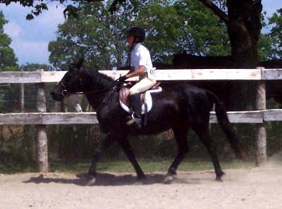 Molly-2006-June24-0001.jpg (50891 bytes)