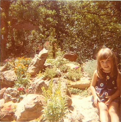 Rock garden scene