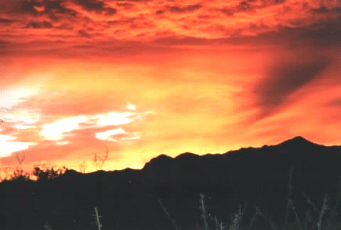 Huachuca Fire