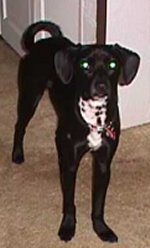 Max