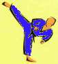 Blue Belt Syllabus