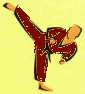 Brown Belt Syllabus
