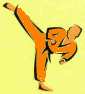 Orange Belt Syllabus