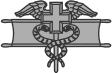 Expert Field Medical Badge