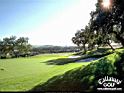 golf9.jpg