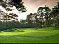golf_14.jpg