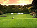 golf_22.jpg