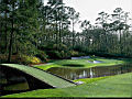 golf_24.jpg