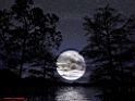 bluemoon.jpg