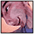 The ohuh? webshrine