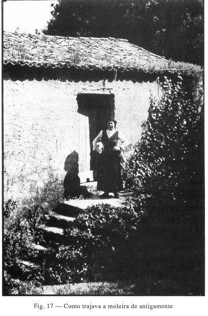 azen10.jpg (81848 bytes)