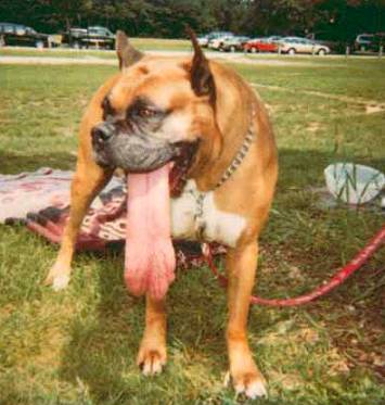 Ewww! Stay away!