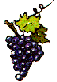Grape de raisin