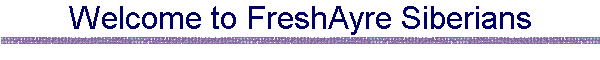 Welcome to FreshAyre Siberians