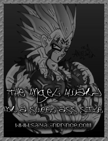 Booyah, baby! Vegeta kicks major Saiyan ass! Thanks so much, Angel!