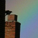 From the 'Rainbow That Wouldn't Die' set