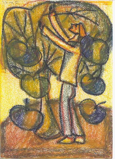apples