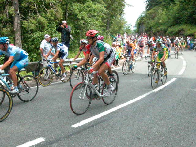 Photograph