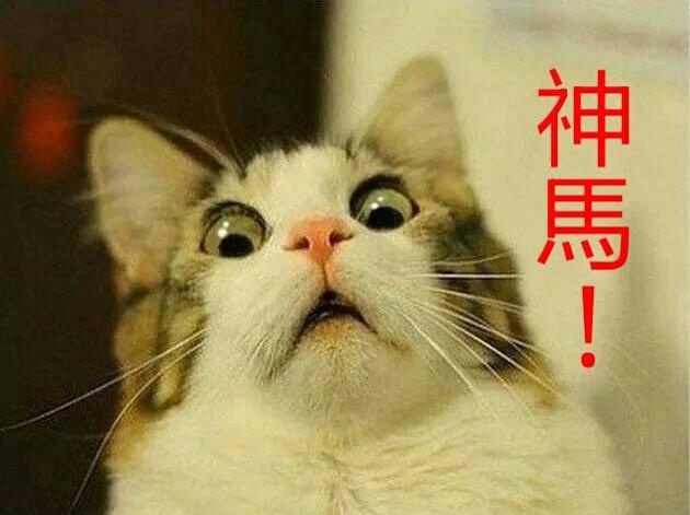 DSE!?