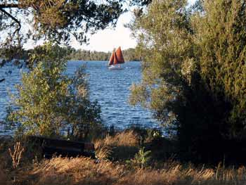 View from one of the benches at Massassuaga Point.