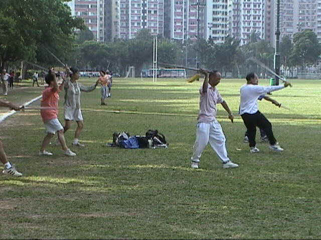 wavingswords.jpg (62457 bytes)