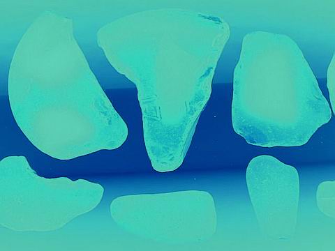 bergs