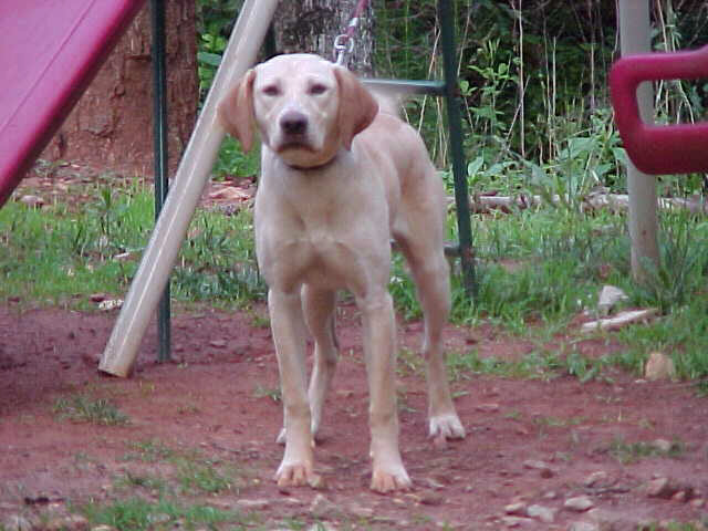 Sandy