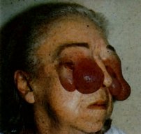 /user/Image2.jpg