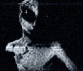 /user/Image3.jpg