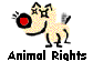 Animal Rights