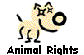Animal Rights