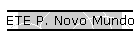ETE P. Novo Mundo