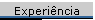 Experi�ncia