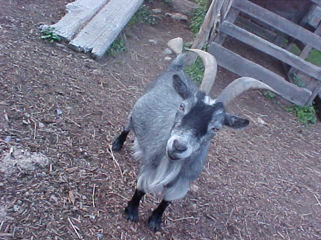 Ain't he cute! He's from the summer trip too!