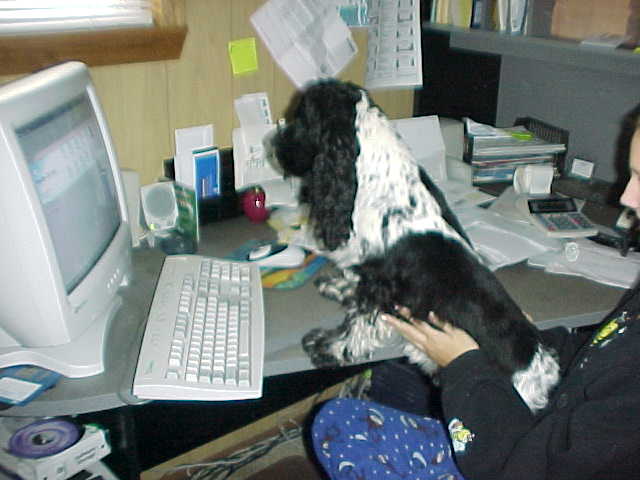 This is Lexus checking out what I am doing on my web page...