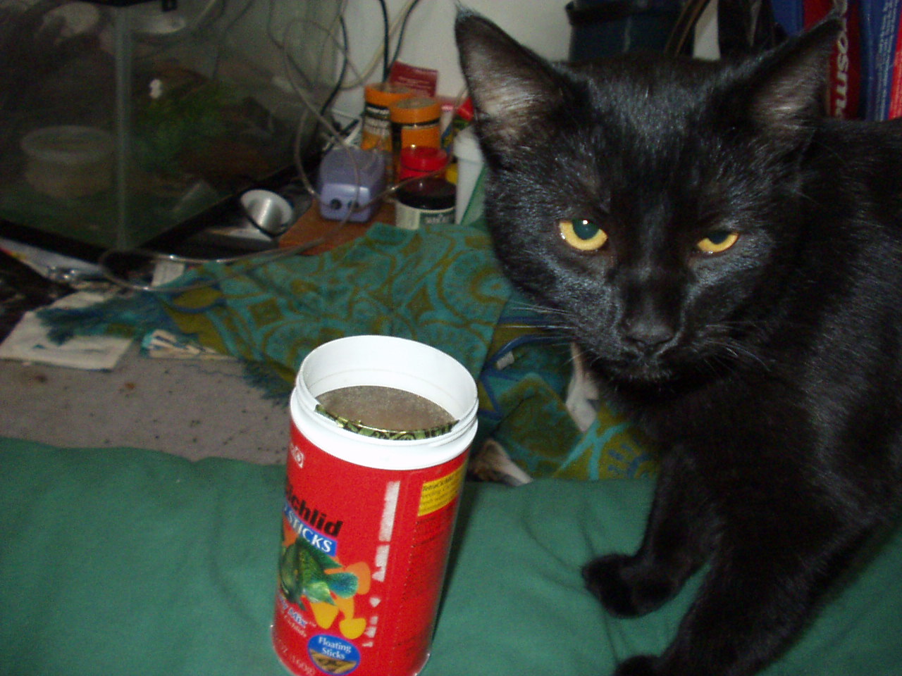 this is tux
