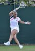 Wimbledon Championships