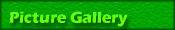Picture Gallery