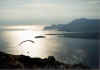 Me_Paragliding_in_Achill.jpg (31726 bytes)