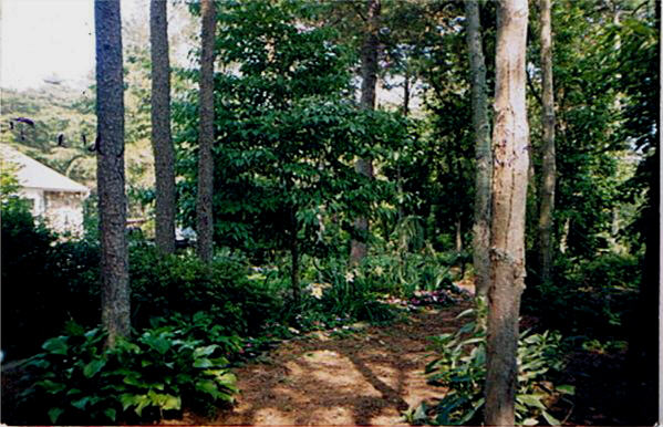 A front yard garden path