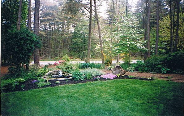 Front yard pond