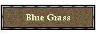 Blue Grass