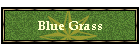 Blue Grass