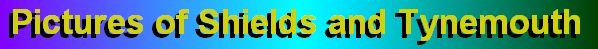 Shields Banner