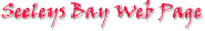 wpa84c8f32.png
