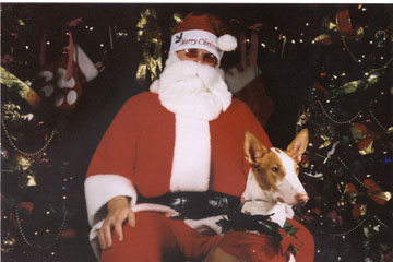 Christmas 2002