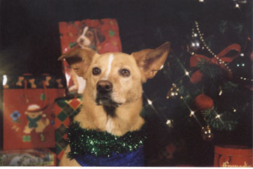 Christmas 2002