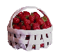 Berries